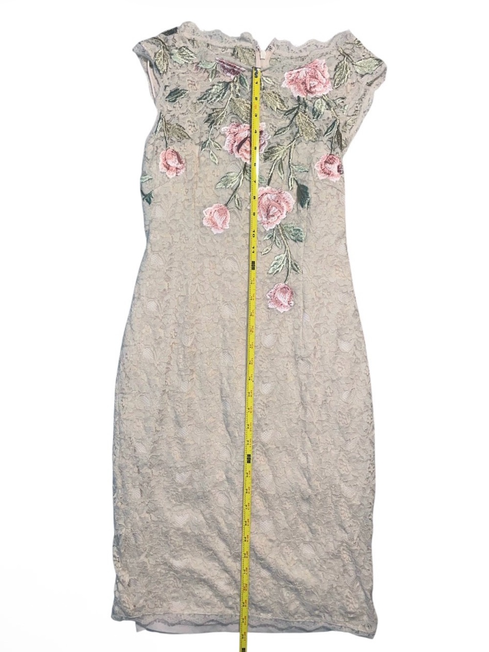Adrianna Papell Beige Lace Midi Dress with Pink Rose Embroidery - Picture 3 of 5